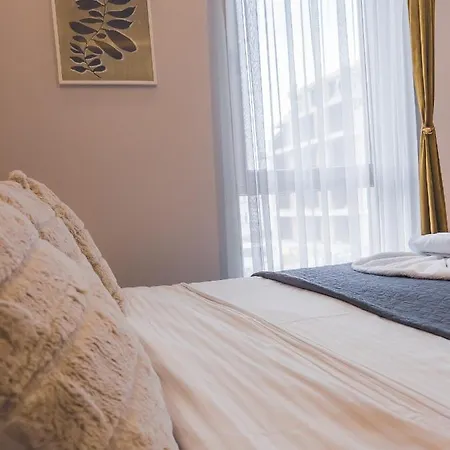 Milmari Premier - Daisy