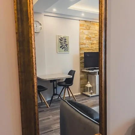 Milmari Premier - Daisy *